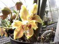 Photo :  Micael Liu