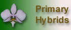 Primary hybrids