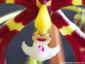 Photo : Phalaenopsis mannii
